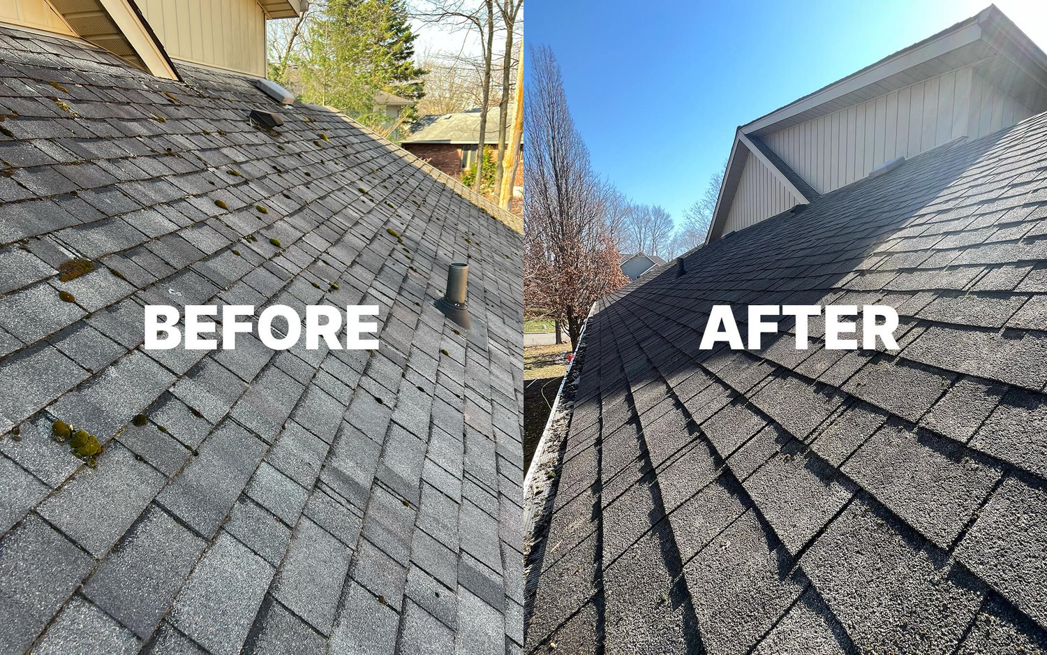 Coastal roof restoration and moss treatment for a seaside home in Hubbards, Nova Scotia.