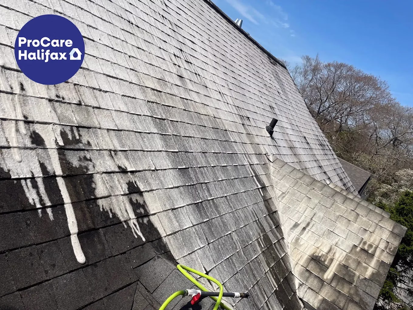 ProCare Halifax demonstrating their roof washing method in Halifax, NS, with roof cleaning solution freshly applied on a residential roof.