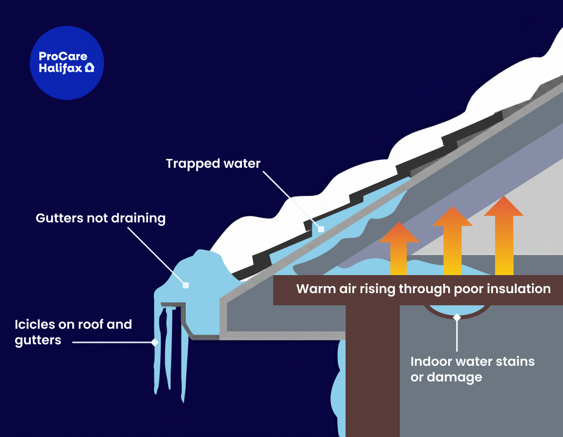 Illustration showing how an ice dam forms on a residential roof in winter, with heat loss from the attic melting snow that refreezes at the eave trapping water under the shingles