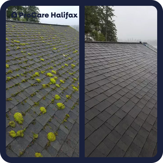 Dramatic before and after moss roof removal and professional roof cleaning by ProCare Halifax.
