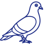 Pigeon icon for our residential and commercial service to humanely remove and prevent pigeons from returning