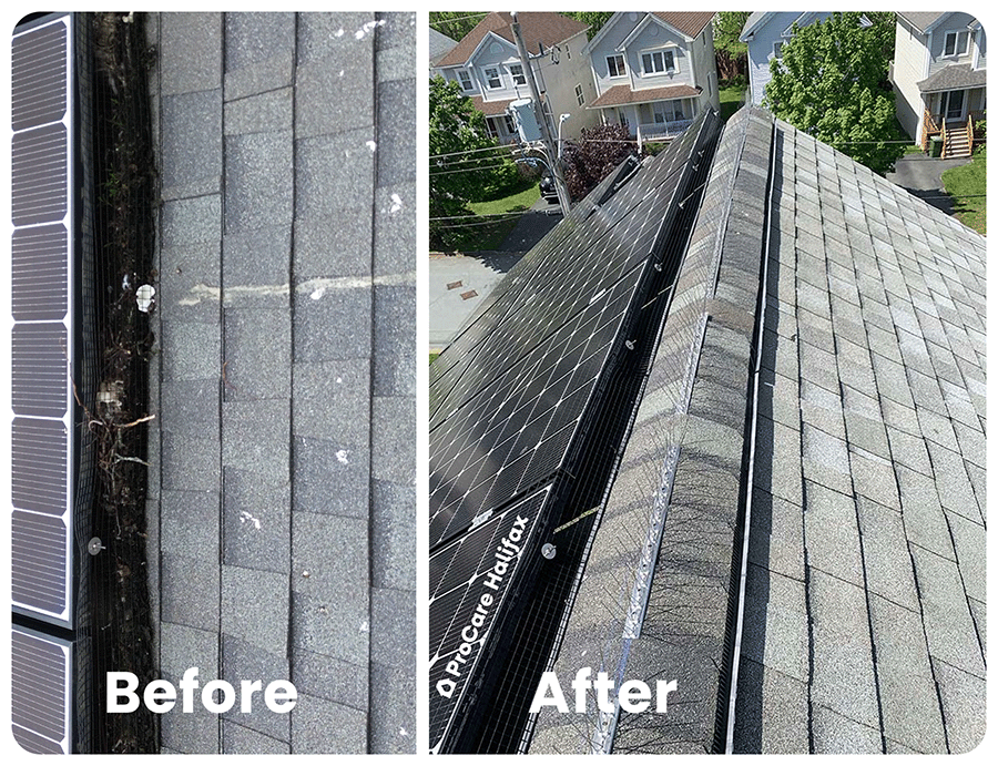 After photo of a clean residential roof with professional pigeon netting installed around solar panels and bird spikes to prevent roosting.