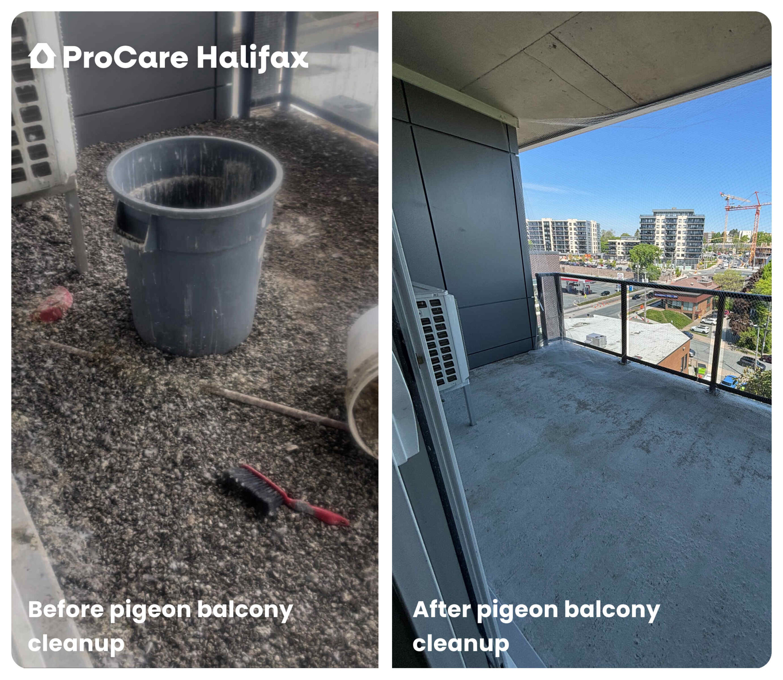 Before and after cleanup of an apartment balcony from severe pigeon infestation
