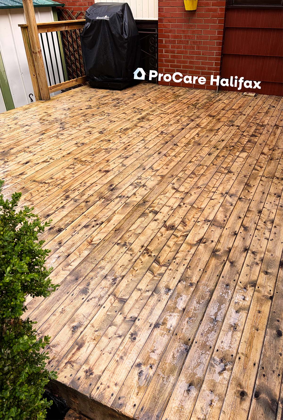 BeforeAfterimage of a restored deck with warmth brought back into the wood in Halifax, NS