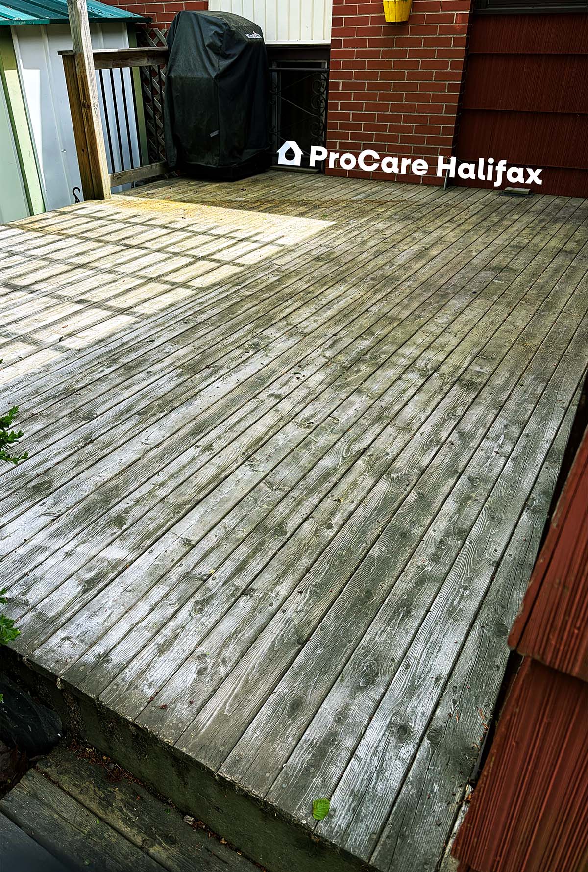 Before image of a weathered algae covered deck in Halifax, NS