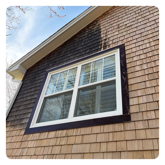 An image of partially cleaned cedar home treated with a soft wash solution by ProCare Halifax to restore the shingles