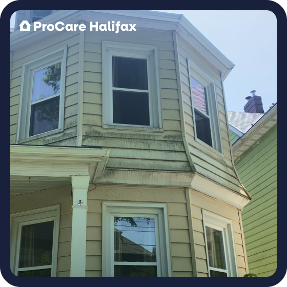 Before photo showing dark organic growth on white aluminum siding on a Halifax home prior to soft washing by ProCare Halifax.